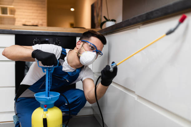 Best Termite Control Services  in Moriches, NY