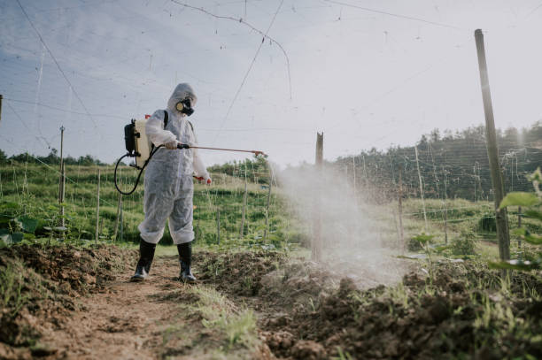 Best Ant Control Services  in Moriches, NY