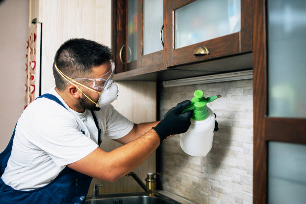 Best Bed Bug Extermination  in Moriches, NY