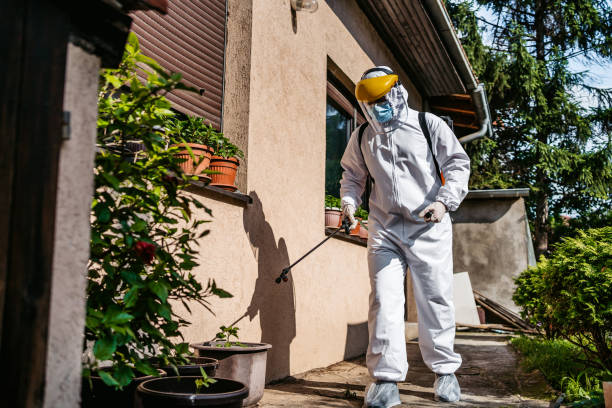 Best Cockroach Control Services  in Moriches, NY