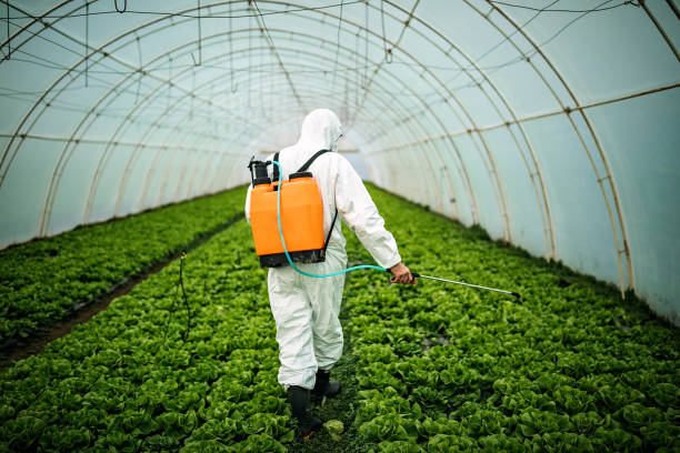 Best Best Pest Control Companies  in Moriches, NY