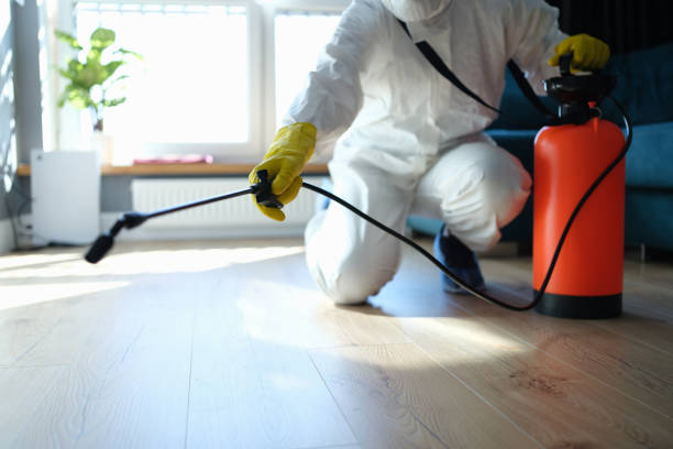 Professional Pest Control in Moriches, NY