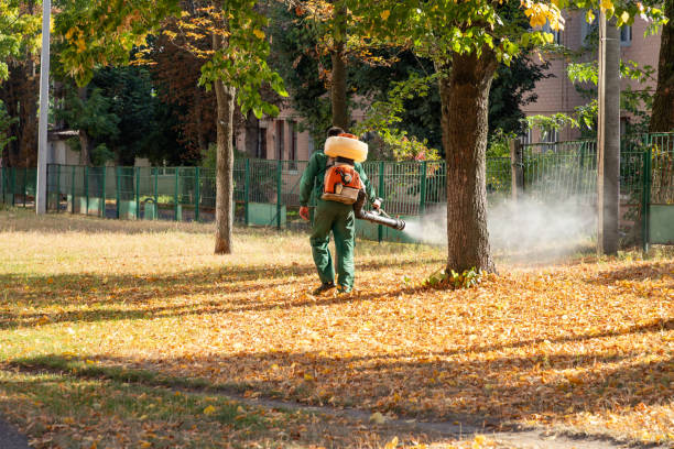 Best Pest Control Treatment  in Moriches, NY