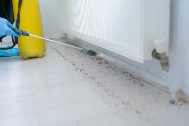 Best Pest Control for Businesses  in Moriches, NY